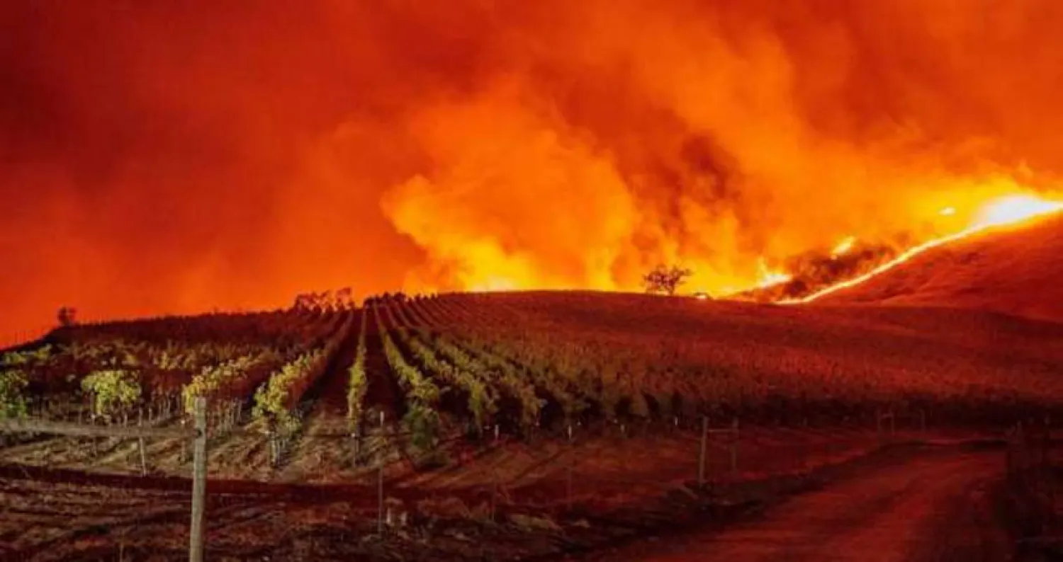 حاكم كاليفورنيا يعلن الطوارئ  بعد اتساع حرائق الغابات