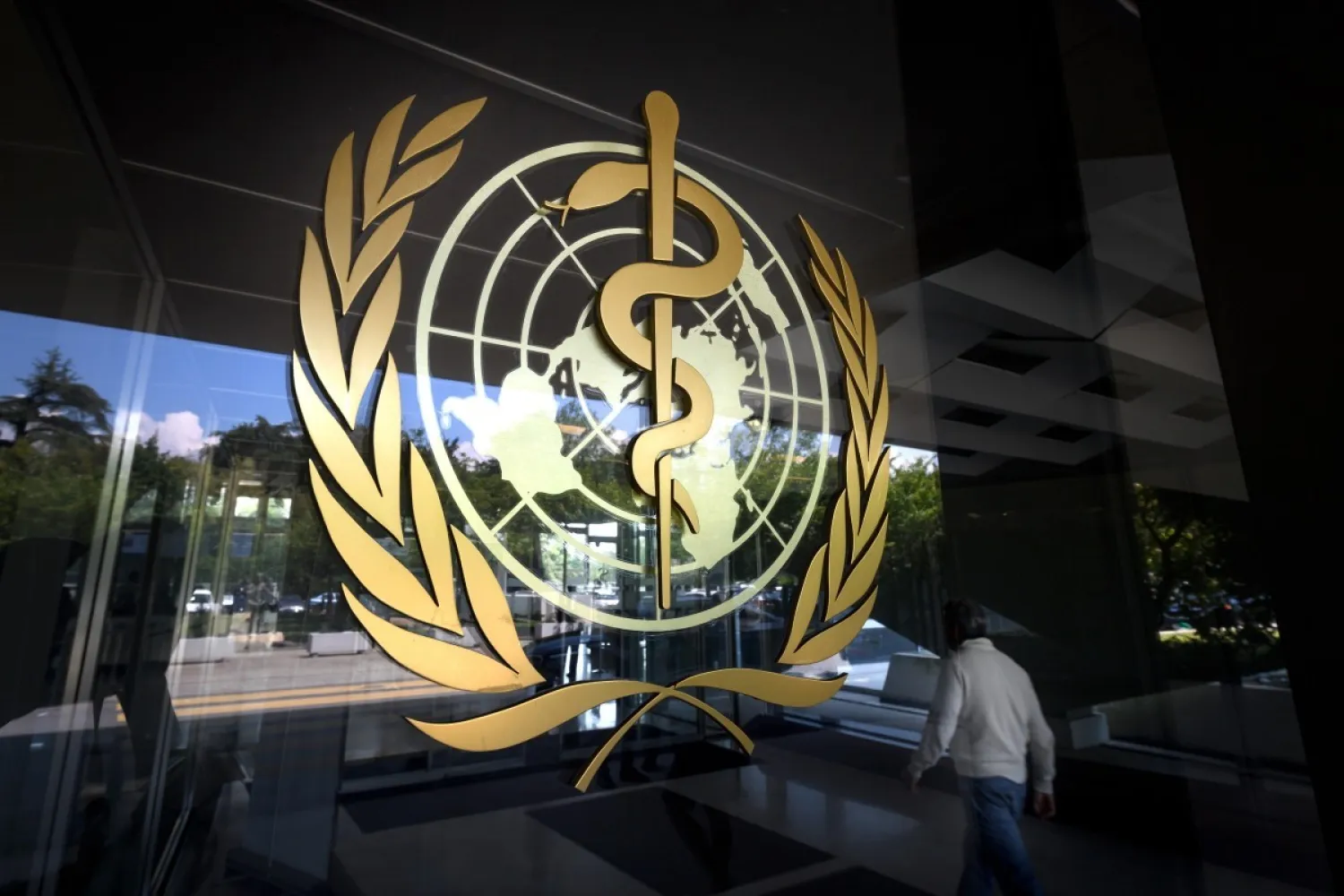 A symbol of the World Health Organisation at its headquarters in Geneva. Photo: AFP