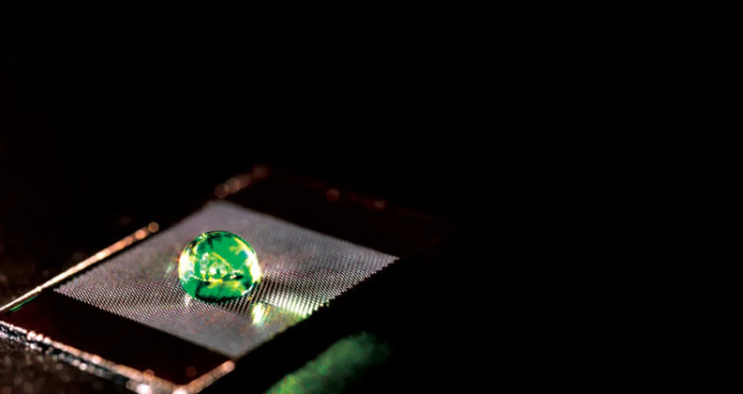 مواد مستوحاة من الطبيعة تطرد السوائل من دون الحاجة إلى طلاءات