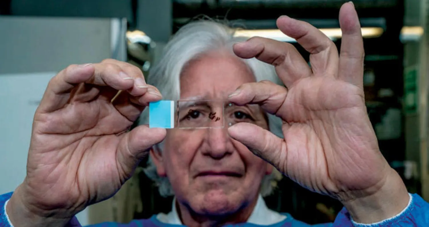 العالمة فرانسيسكا لوبيرا تفحص عينات من أدمغة المصابين (نيويورك تايمز)