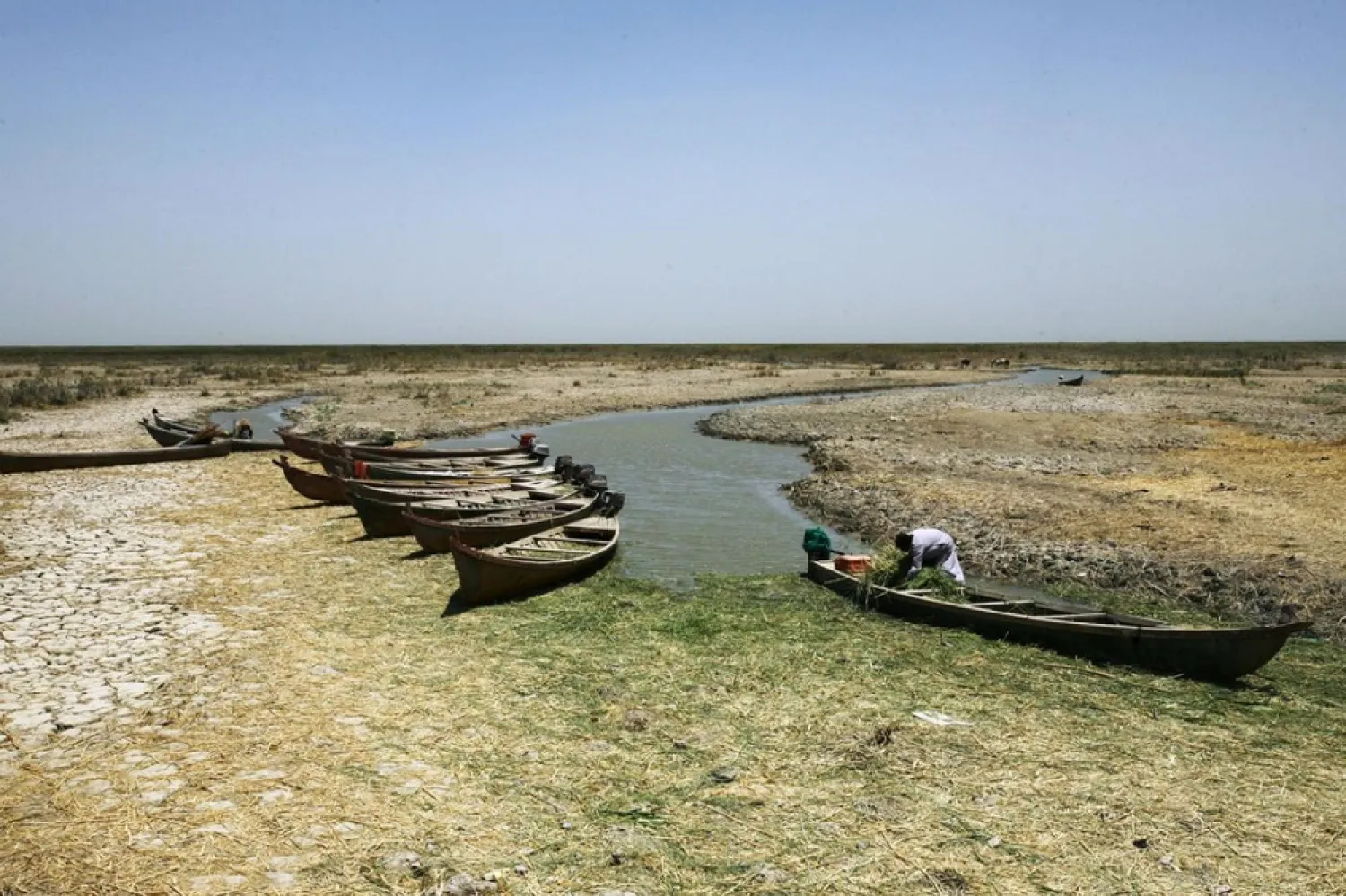 Canoes are seen in the shallow waters of the Chibayish marshes near the southern Iraqi city of Nasiriyah on June 25, 2015. (AFP)