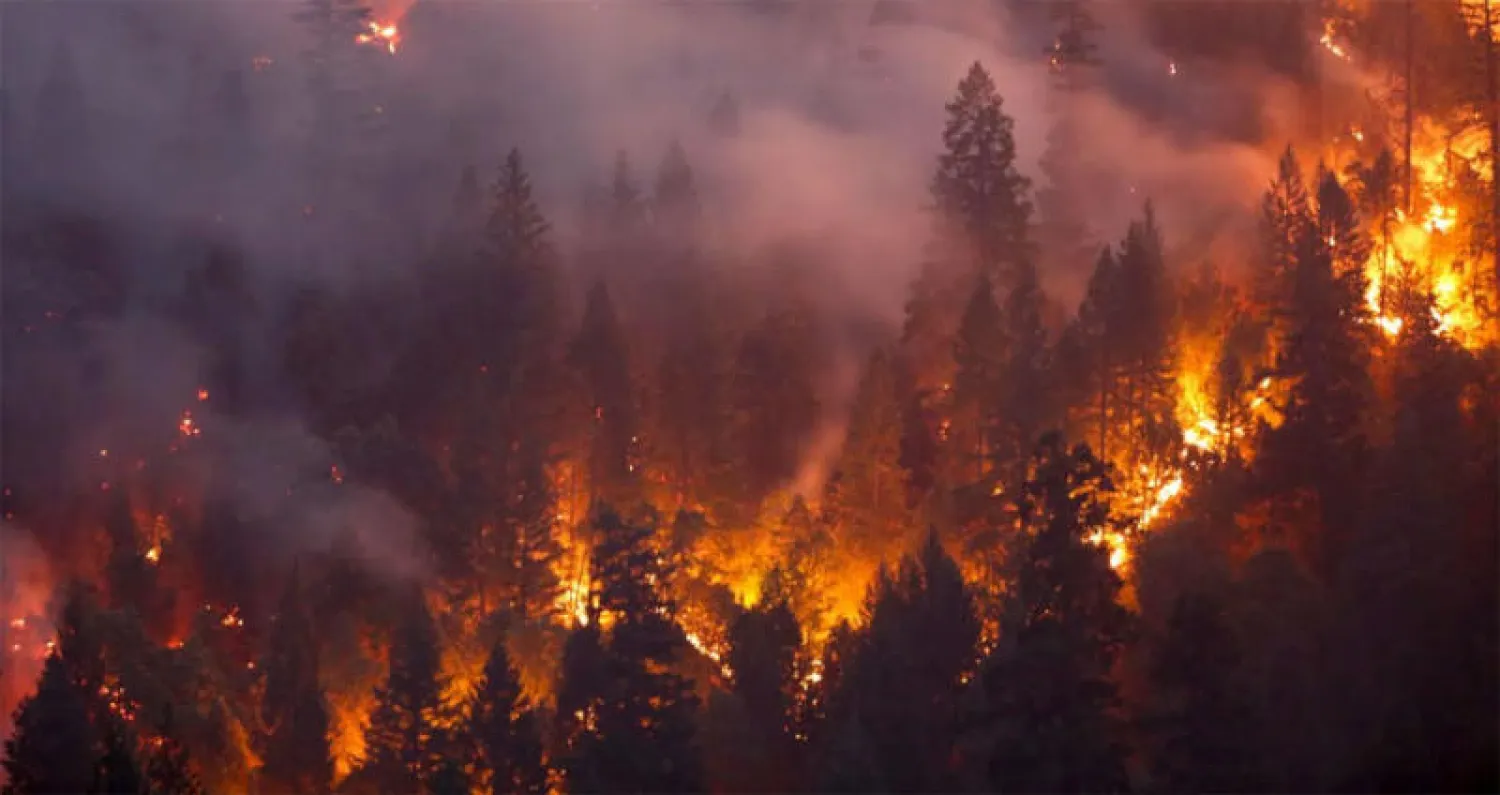 عشرات الحرائق تدمر مساحات شاسعة من الغابات في أستراليا