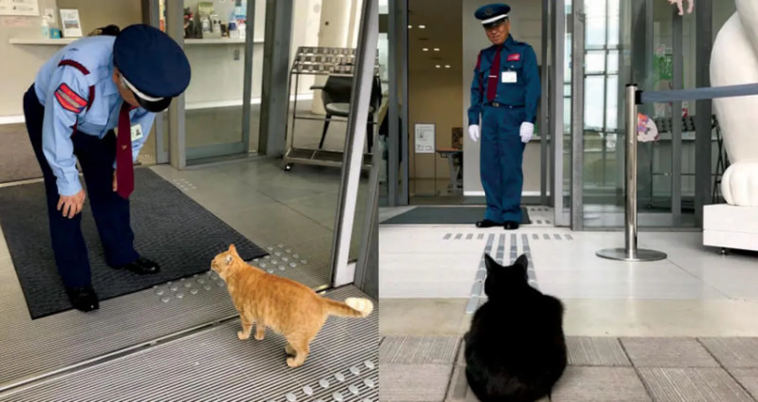 القطان الشهيران أمام المتحف الفني الياباني (تويتر)