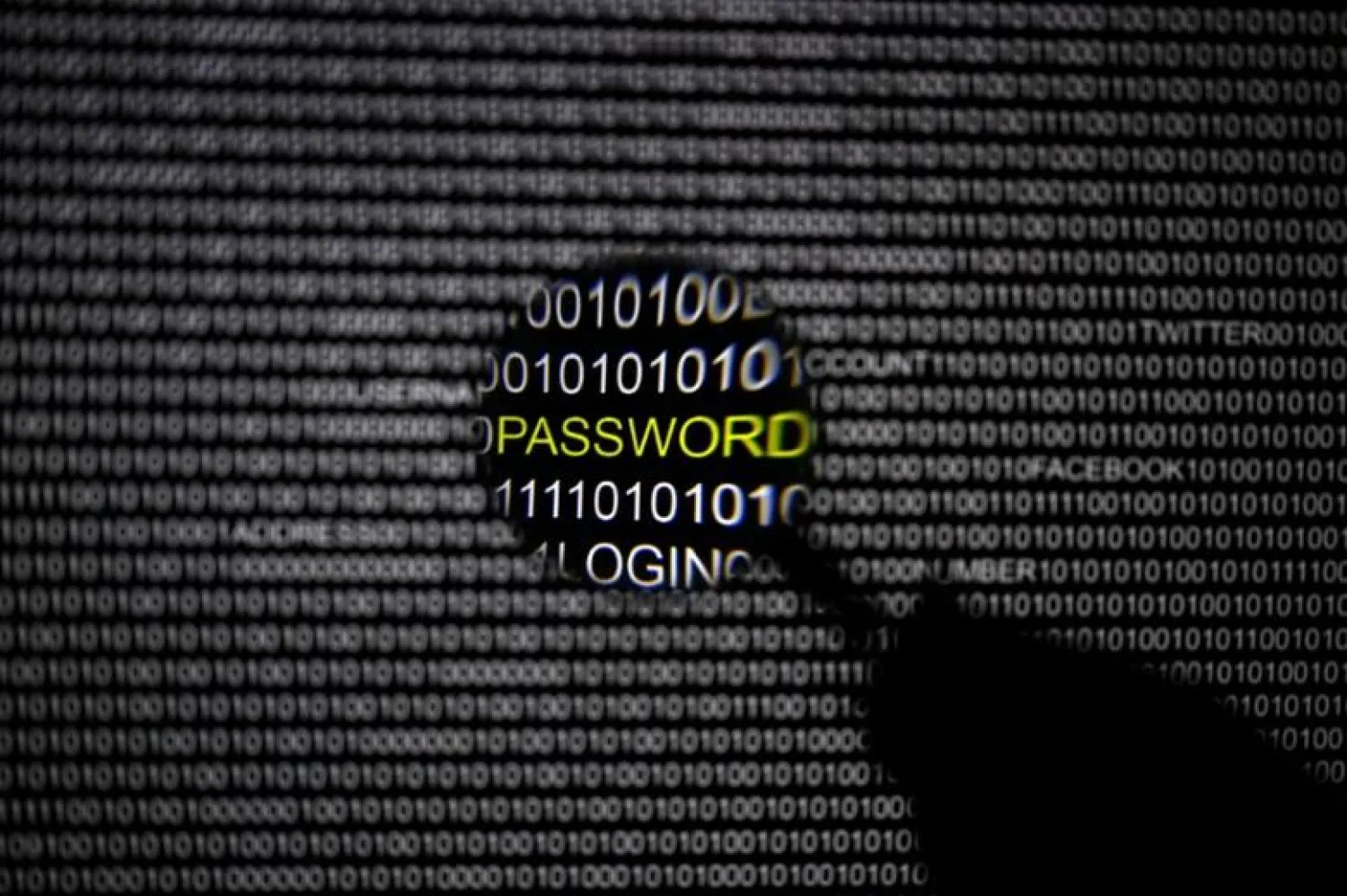  A magnifying glass is held in front of a computer screen in this picture illustration taken in Berlin May 21, 2013. REUTERS/Pawel Kopczynski