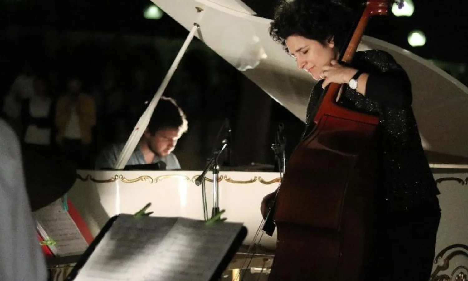 جانب من فعاليات الأيام الثقافية الألمانية في الرياض (الشرق الأوسط)