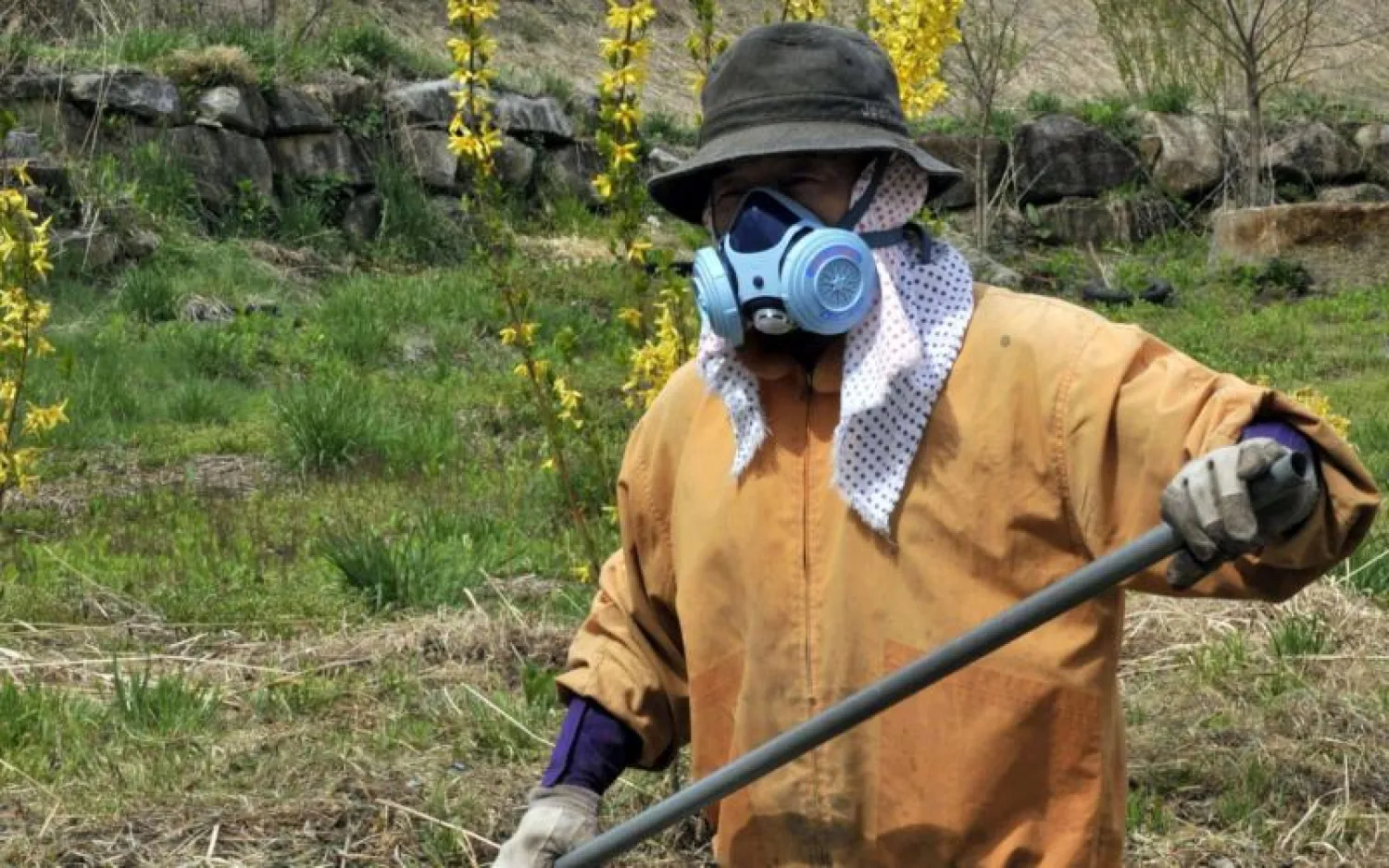 مزارع قرب محطة فوكوشيما النووية (أ.ف.ب)