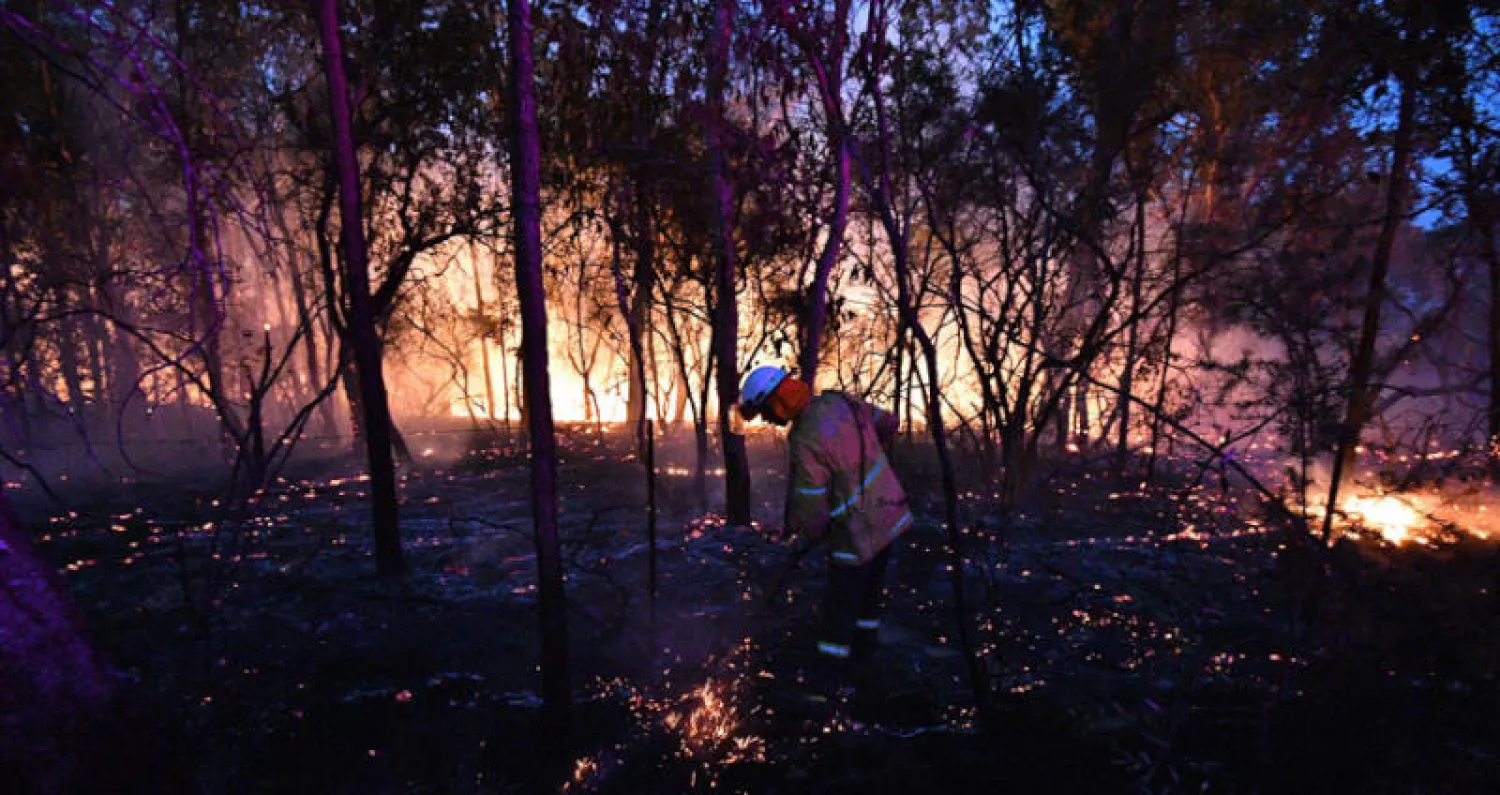 حريق غابات سيدني قد يستمر لأسابيع