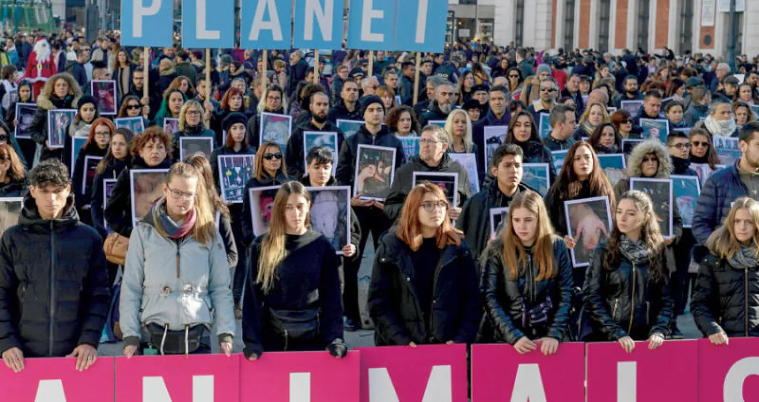 زيادة الانبعاثات الكربونية تتسبب في نقص أكسجين البحار وانقراض الأسماك