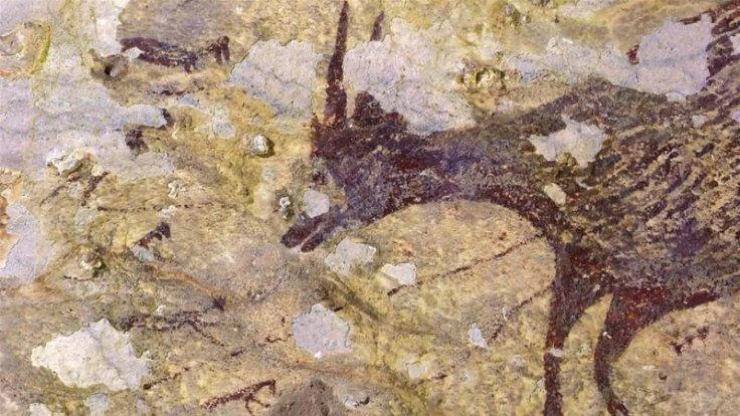 جزء من الرسومات التي تم العثور عليها (أ.ف.ب)