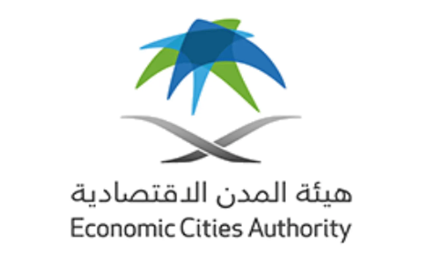 Saudi Arabia: SEZ Pushes for Localizing Domestic Capital