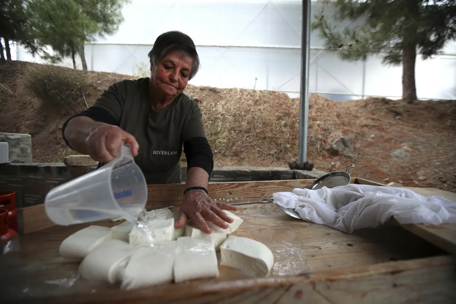 In this photo taken Wednesday Dec. 11, 2019, Aphrodite Philippou, 73, makes Cyprus' halloumi cheese at a farm in Kampia village near Nicosia, Cyprus. (AP)