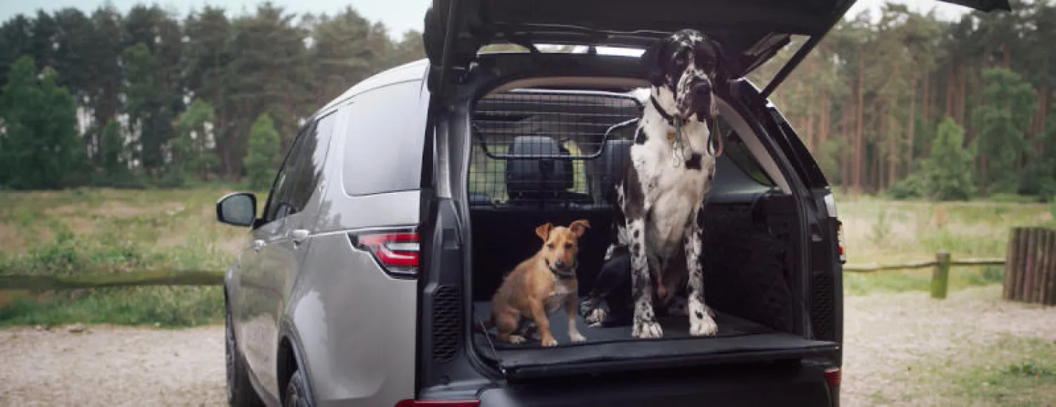 «لاند روفر» تستعين بـ«مخالب آلية» لدراسة تأثير الكلاب على أسطح سياراتها