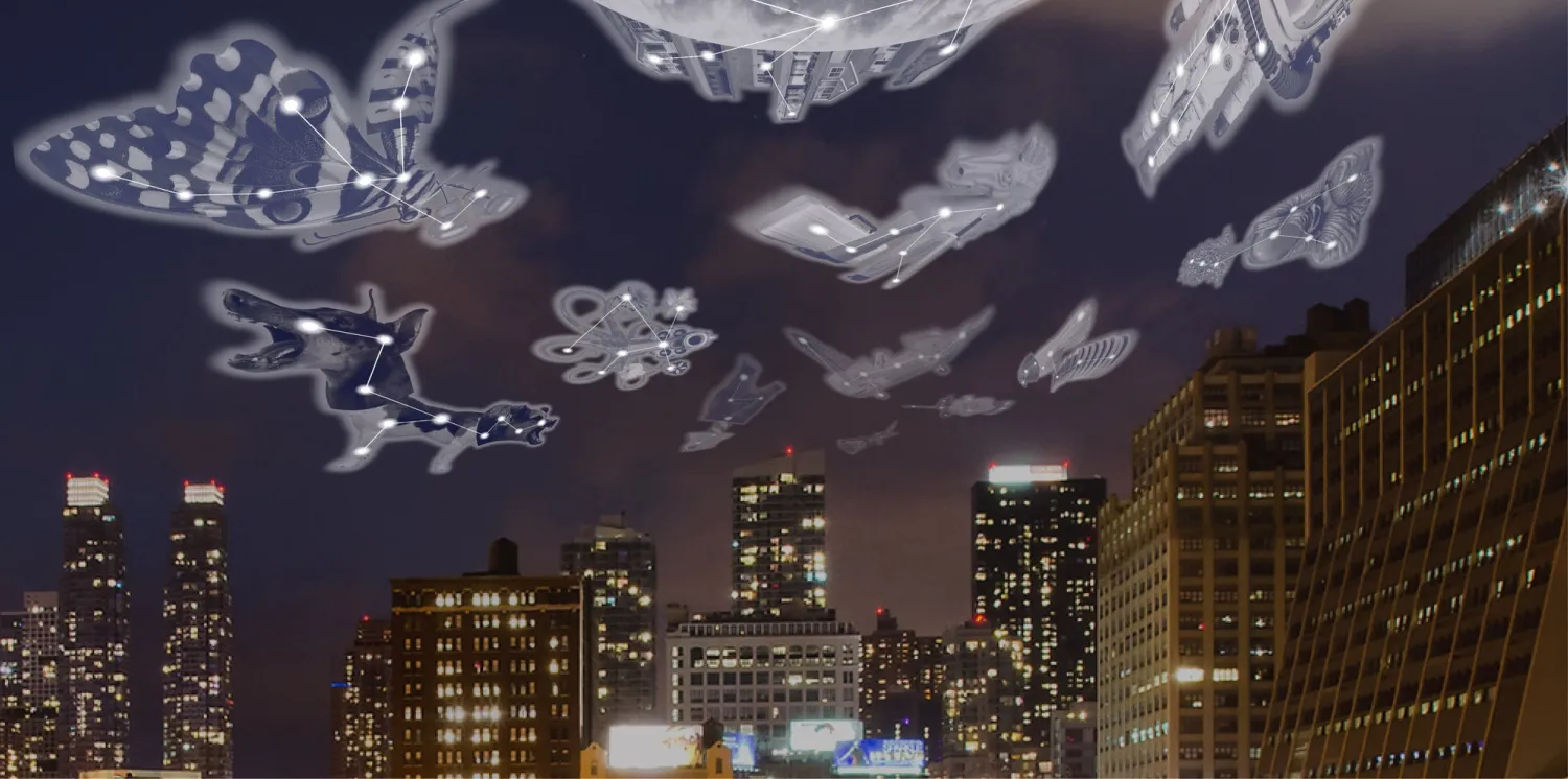 Richard Humann’s “Ascension” consists of 12 imaginary constellations suspended in the sky and is viewed through an iPad using the augmented reality platform Aery.Credit...Richard Humann