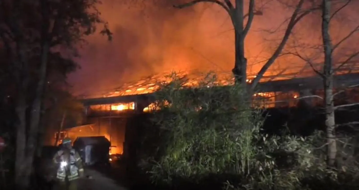 «فوانيس السماء» الصينية قد تكون وراء نفوق أكثر من 30 حيواناً في حديقة حيوان بألمانيا