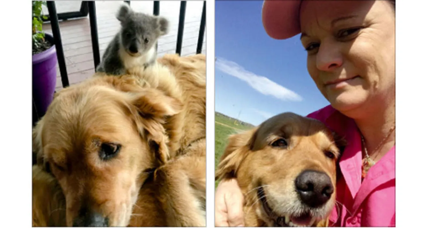 كيري ماكينون وكلبتها آشا - آشا والكوالا