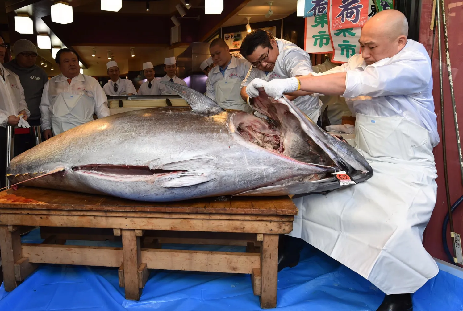 Tuna Fetches $1.8 Million at Japanese Auction