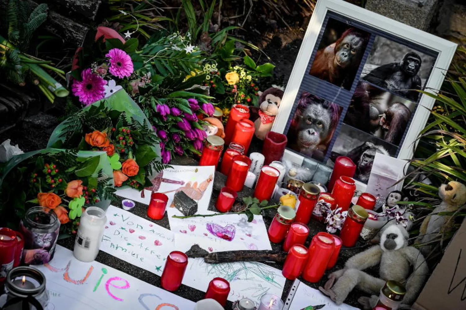 تم إقامة نصب تذكاري للحيوانات التي نفقت في حريق الحديقة (أ.ف.ب)