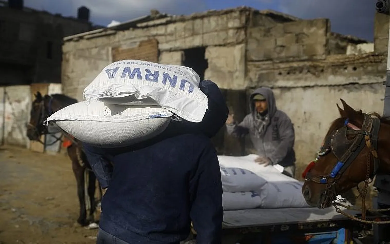 Palestinian men load a horse-pulled cart with food donations outside the United Nations food distribution center in Gaza City on January 15, 2018 (AFP PHOTO / MOHAMMED ABED)

