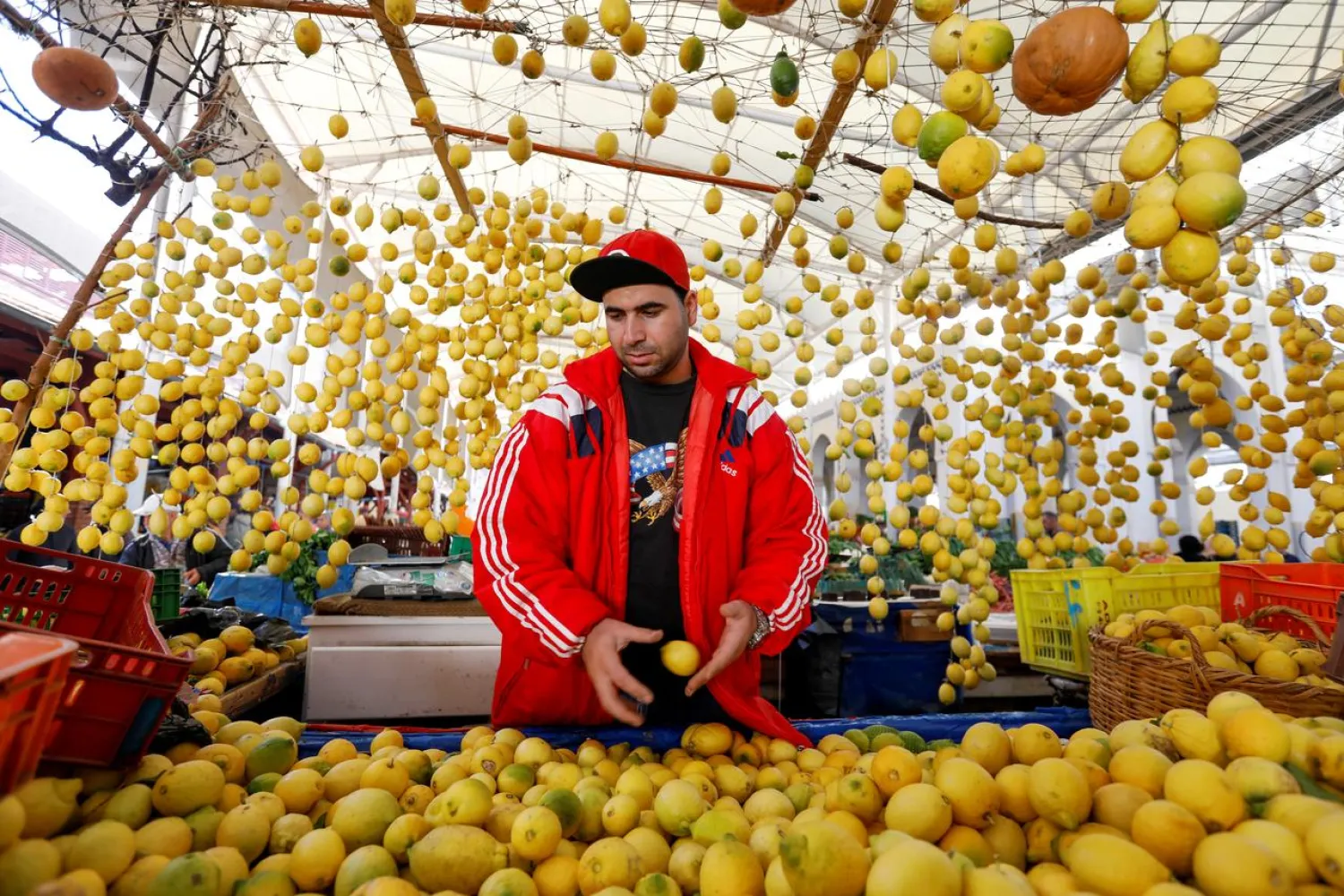 A vendor sells lemons at a market in downtown Tunis, Tunisia November 20, 2019. (Reuters)