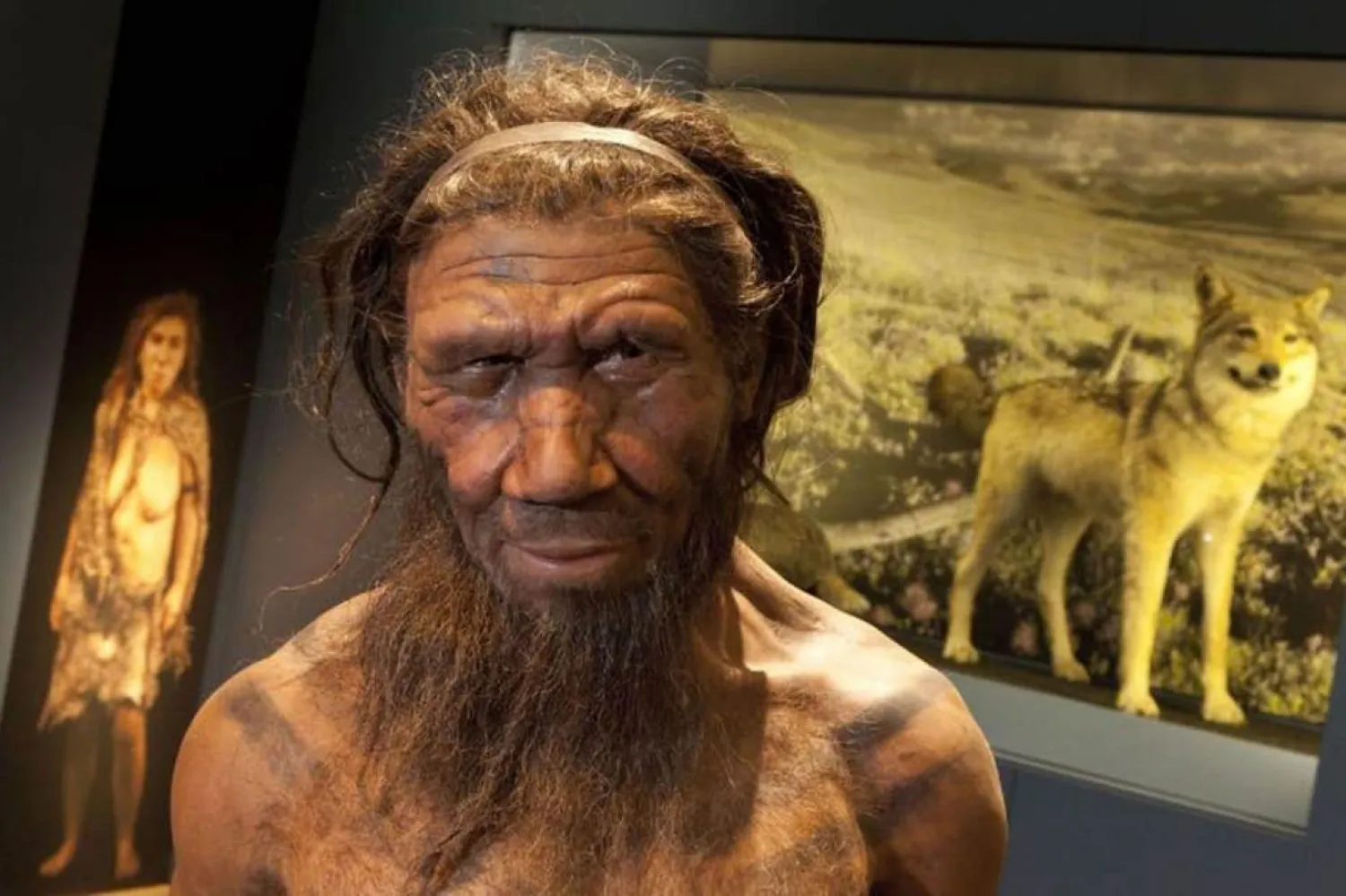 Uzmanlar arasında, dünya üzerinde 350 bin yıl geçirmiş Neandertallerin kaybolmasına neyin sebep olduğu hala tartışma konusu (Londra Doğa Tarihi Müzesi)

