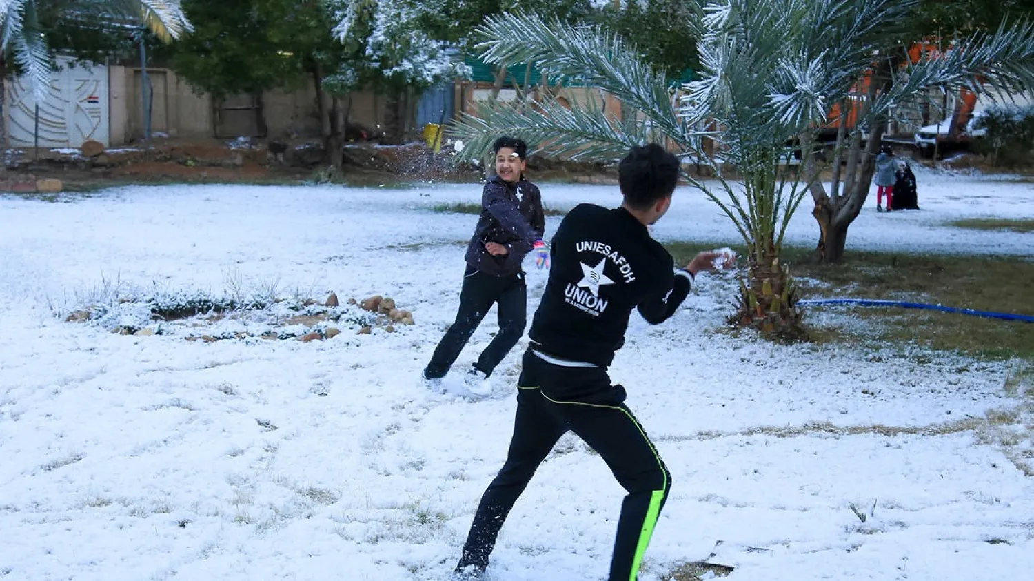 A snowball fight amid the palm trees -- young boys enjoy only the second snowfall in a century to carpet Baghdad and central Iraq. (AFP)