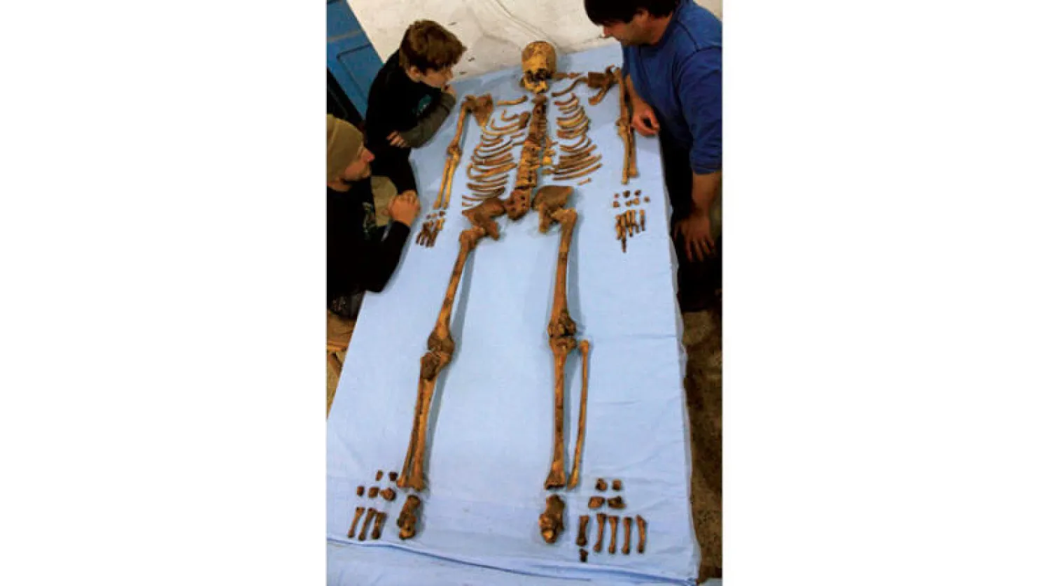 الهيكل العظمي للفرعون «سنب كاي» أحد ملوك أسرة أبيدوس (متحف جامعة بنسلفانيا)