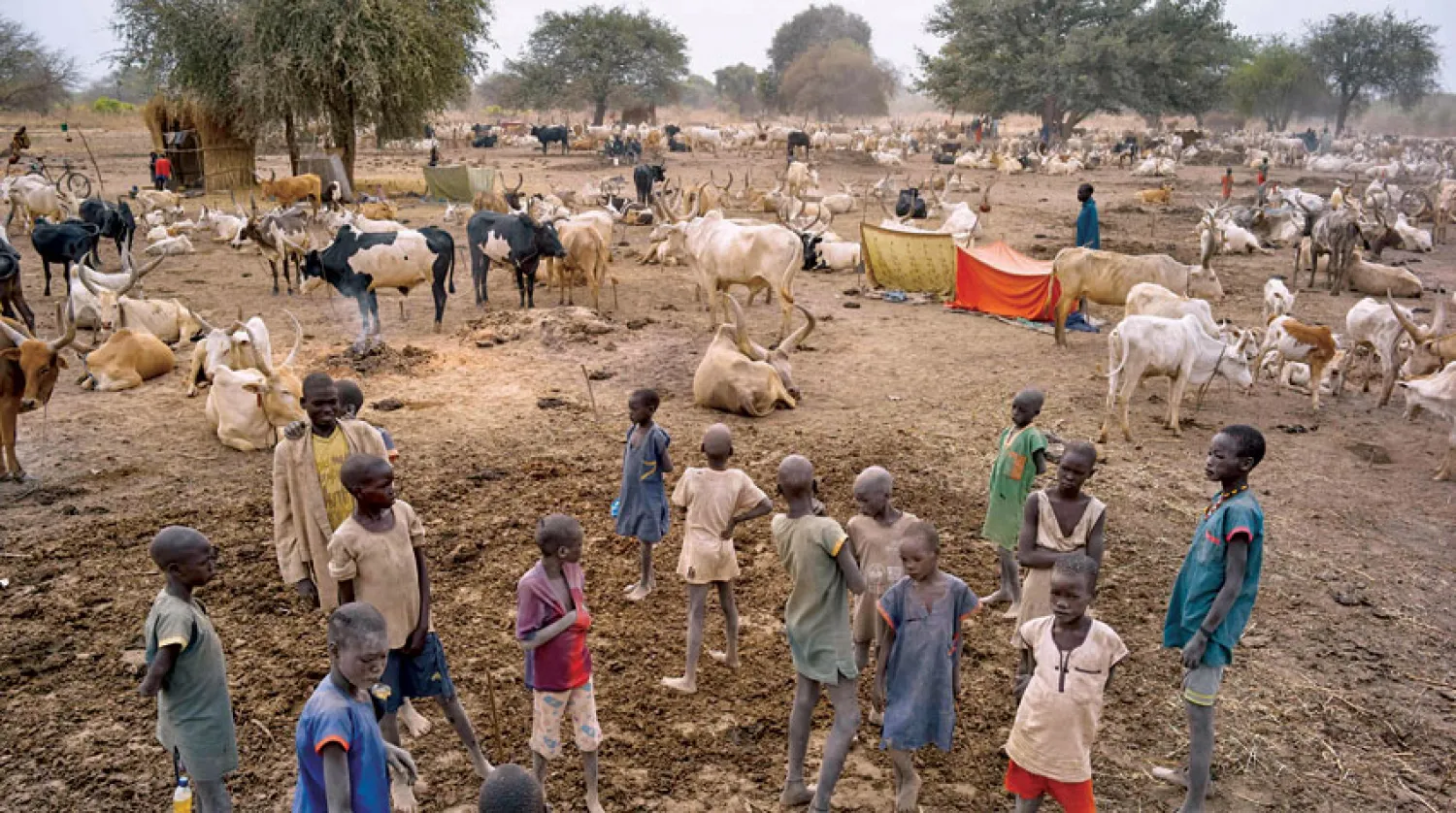 صبية في إحدى قرى جنوب السودان يرعون أبقارهم حيث تبدو آثار الفقر المدقع (أ.ف.ب)