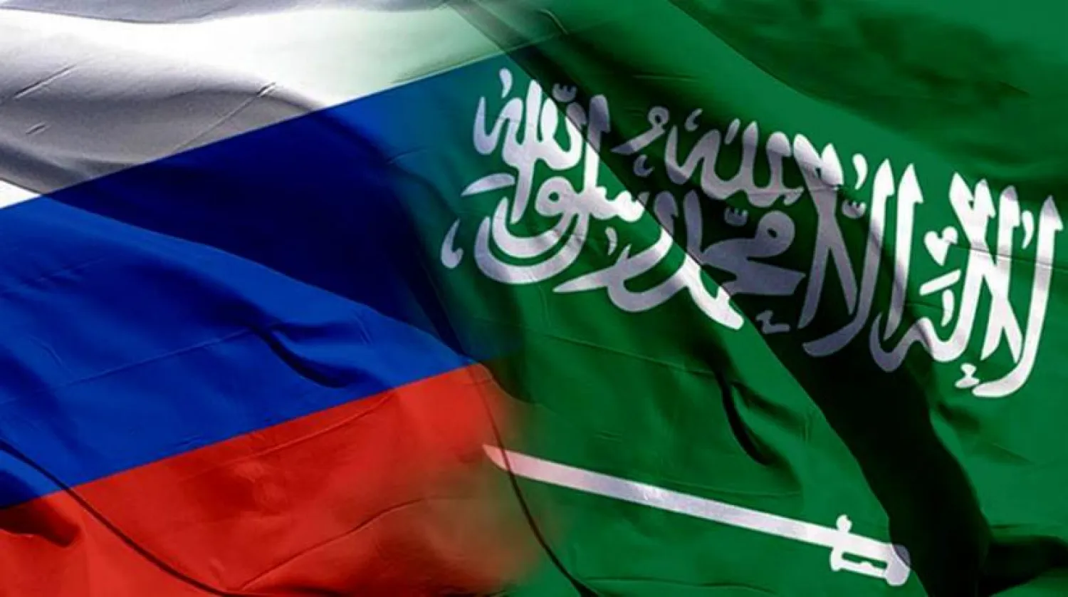 ​Suudi Arabistan ve Rusya silah kaçakçılığının önlenmesine ilişkin projeyi finanse ediyor