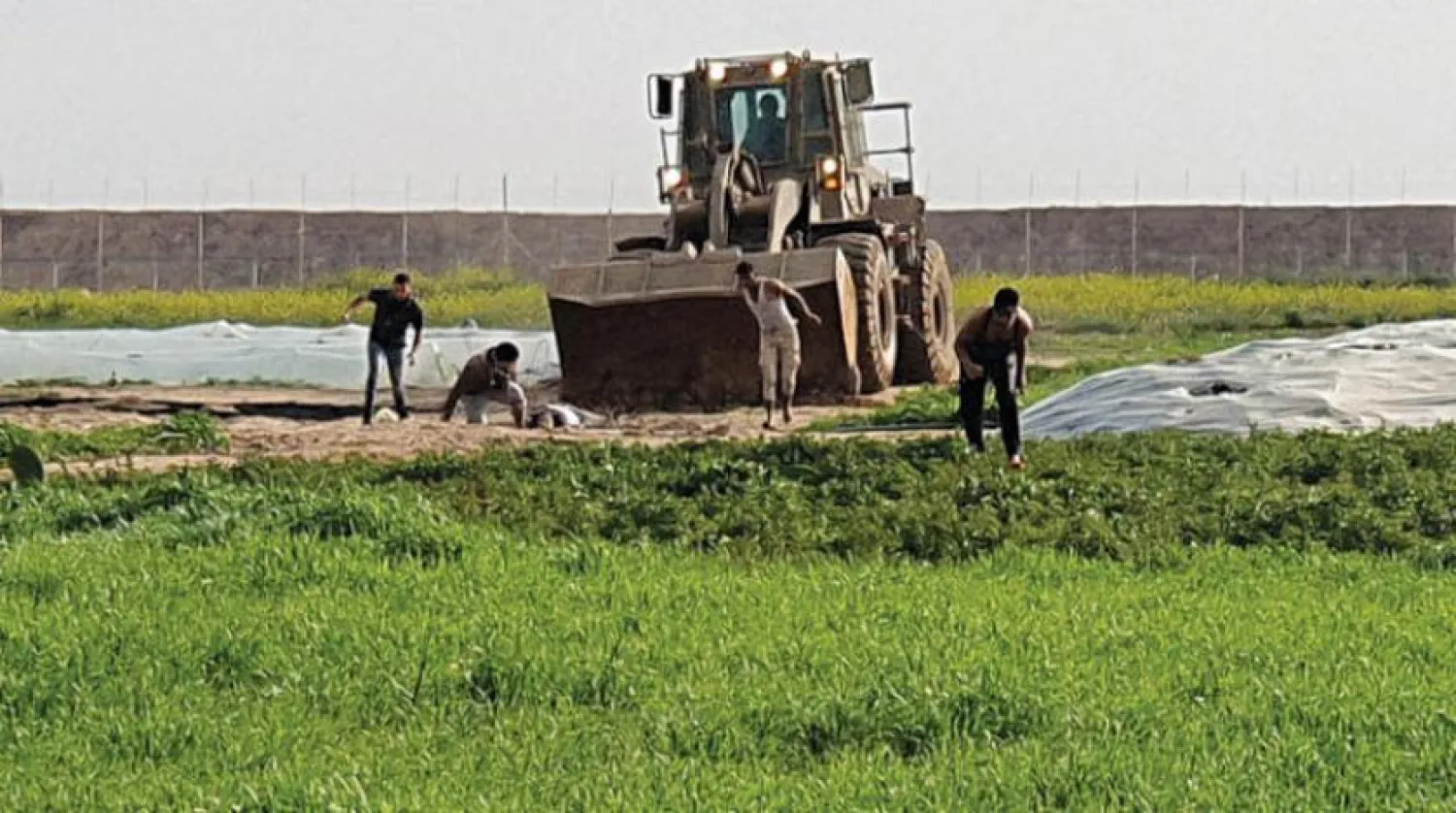 This picture taken with a mobile phone on February 23, 2020 shows men trying to collect a body as a bulldozer approaches them, along the Gaza-Israel border, east of Khan Yunis in the southern Gaza Strip. (Photo by Muthana AL-NAJAAR / AFP) 
