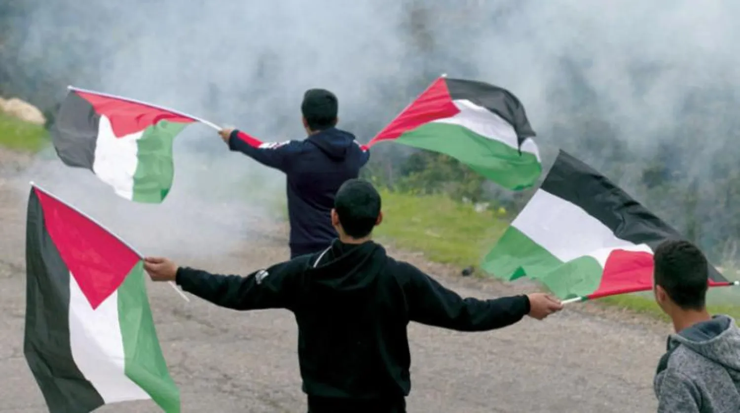 Palestinian youth in the Jordan Valley raise Palestinian flags