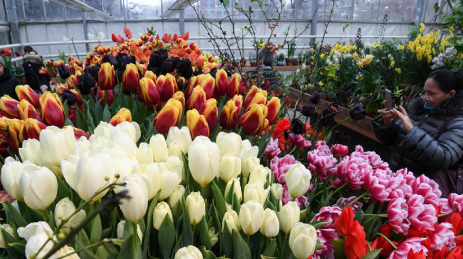 زائرة تلتقط صوراً في معرض «ما قبل الربيع» في موسكو (أ.ف.ب)