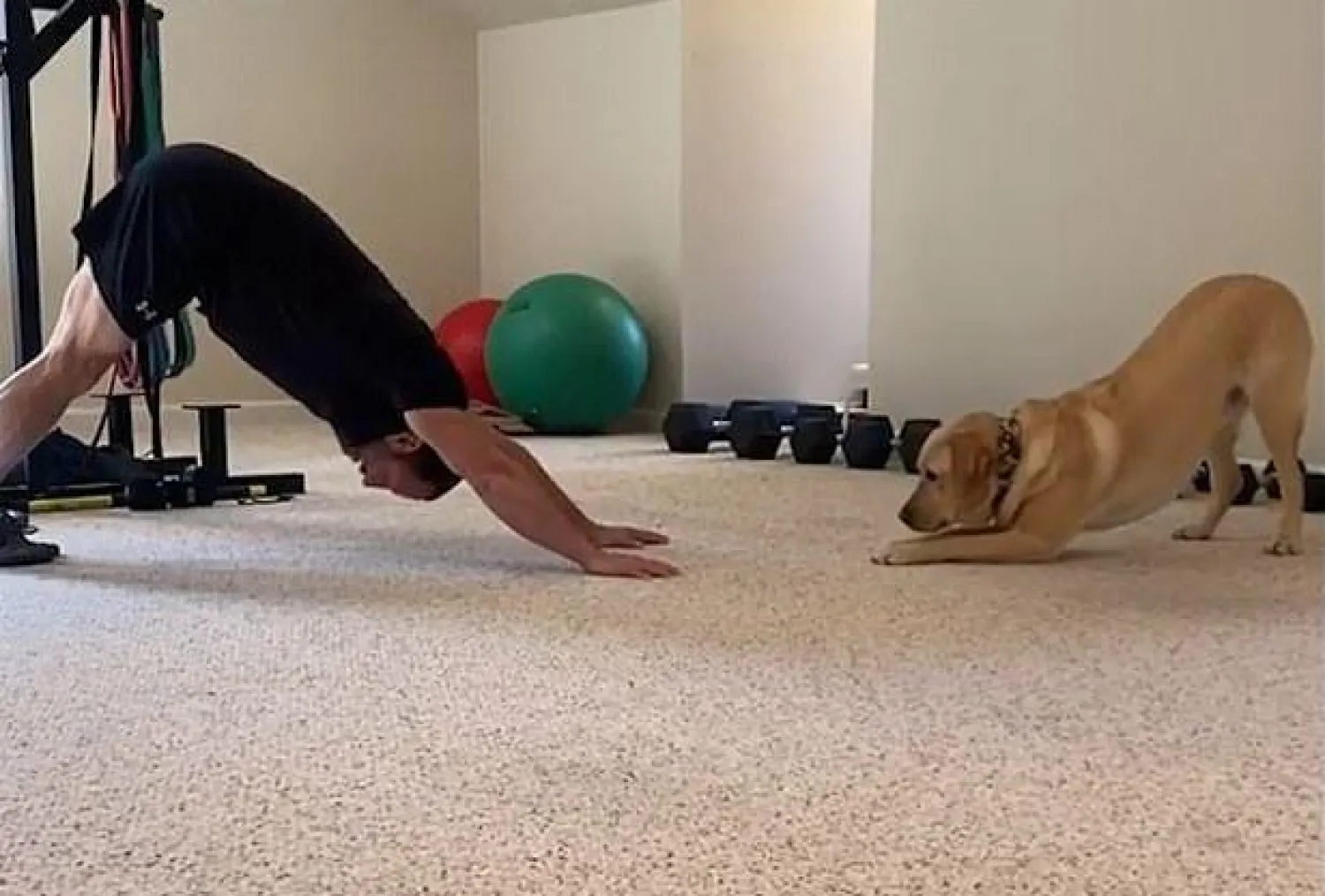 صورة مقتبسة من الفيديو الذي يظهر ماغنوس أثناء أداء التمرينات الرياضية