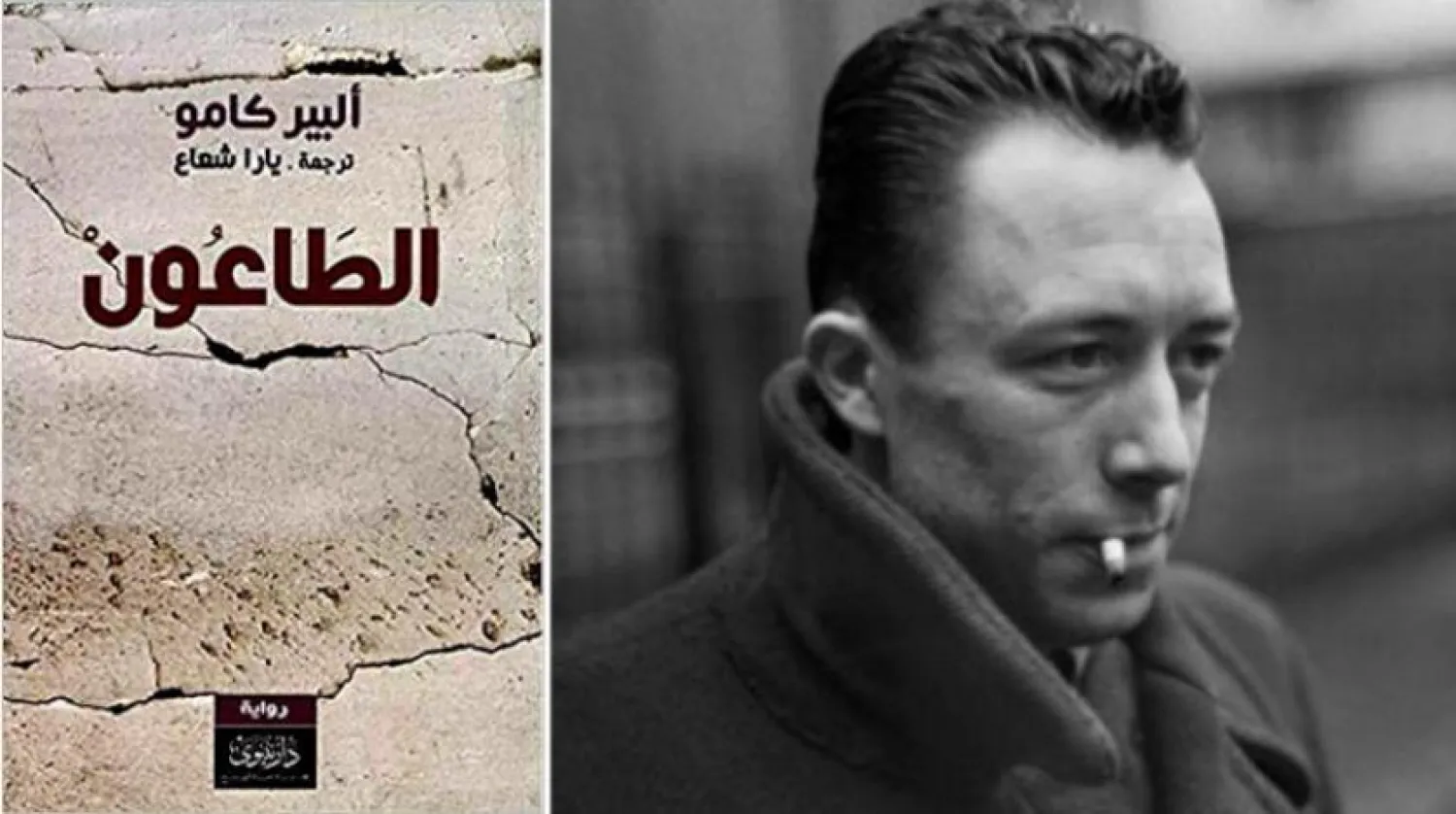 آلبر کامو... طاعون، پوچی و عشق
