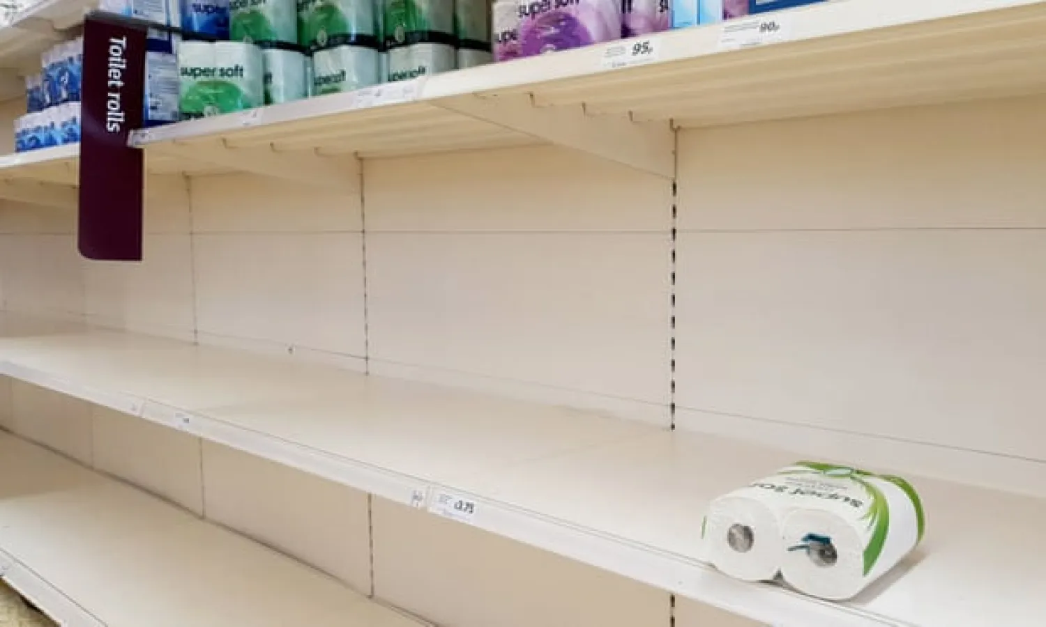  ‘Having myself witnessed a tightly fought battle over a 16-pack of Andrex Classic Clean in a supermarket last weekend, I can attest to the vicarious thrill of this sort of live contest.’ Photograph: Gareth Fuller/PA
