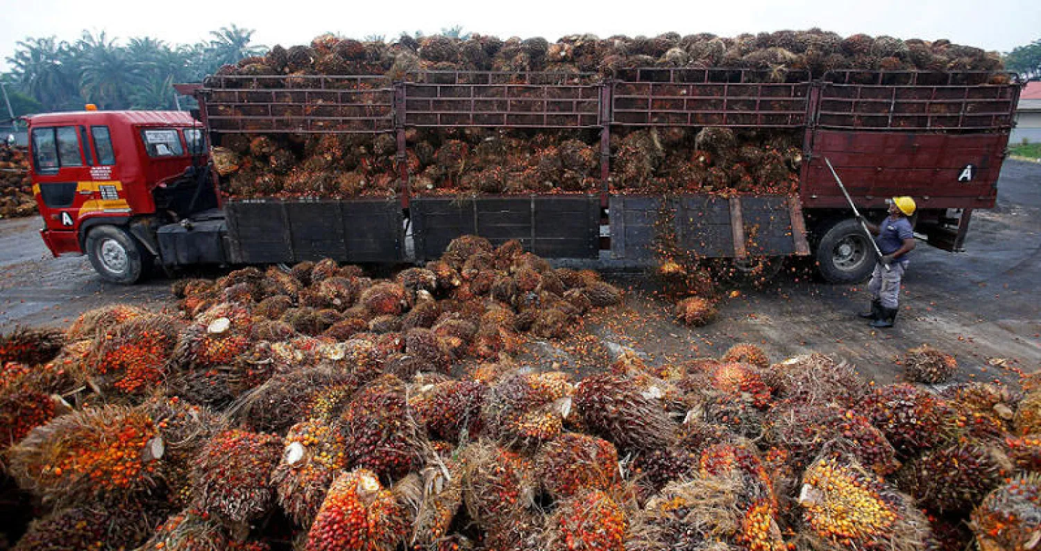 صادرات زيت النخيل كانت محور نزاع تجاري بين الهند وماليزيا (رويترز)