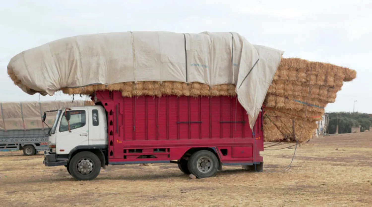 شاحنة في تطوان بالمغرب (غيتي)