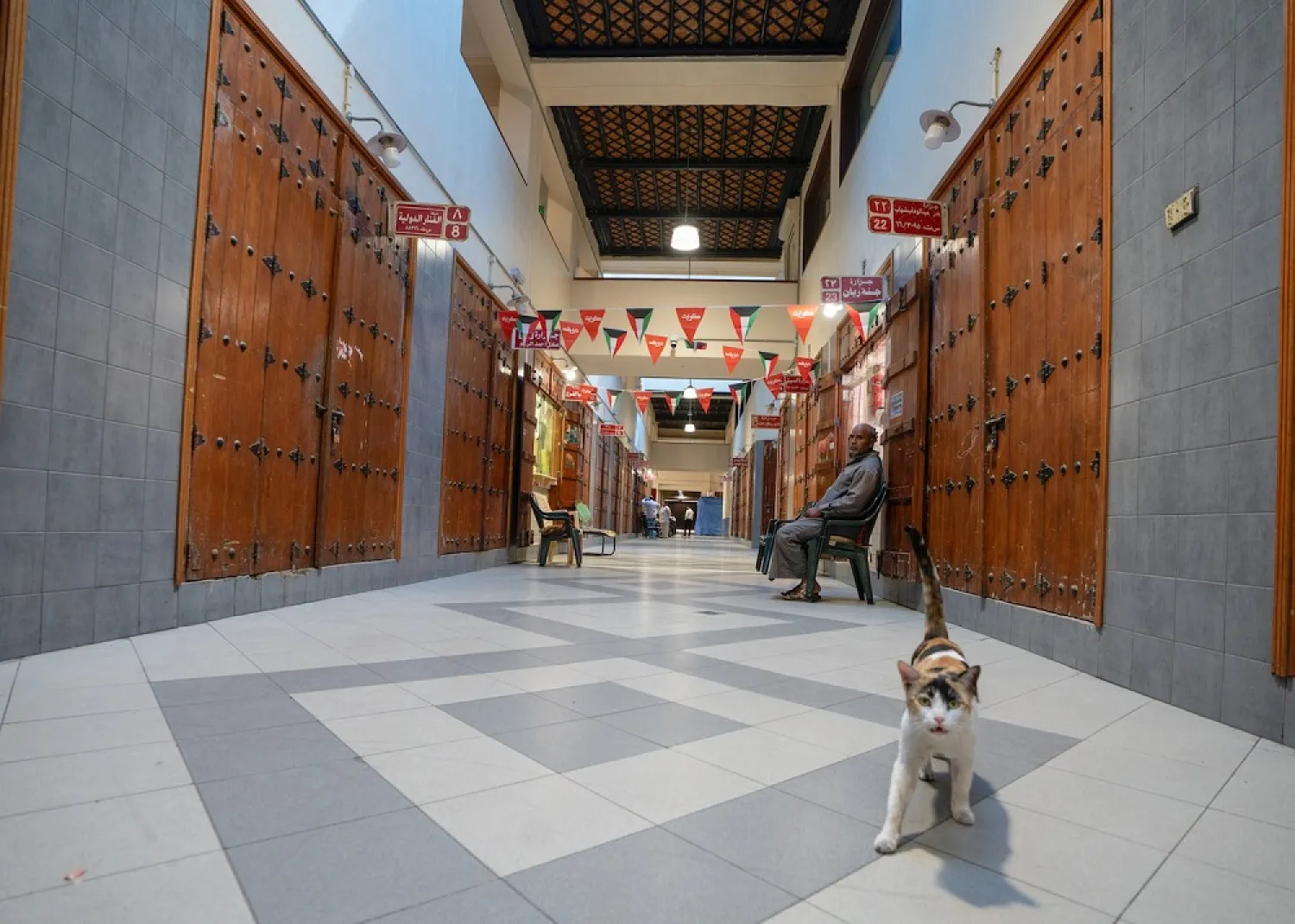 A cat is seen at Mubarikiya market, following the outbreak of coronavirus, after the government ban to close all companies in Kuwait City, Kuwait Mar. 12, 2020. (Reuters)
