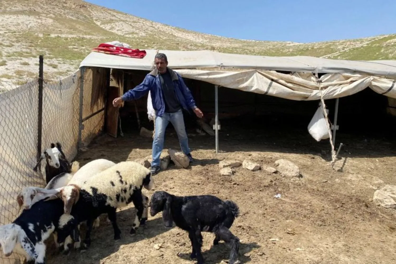 A Palestinian bedouin man looks after his sheep and goats amid concerns about the spread of the coronavirus disease (COVID-19) in al-Ubeidiya town near Bethlehem in the Israeli-occupied West Bank April 3, 2020. REUTERS/Mustafa Ganeyeh
