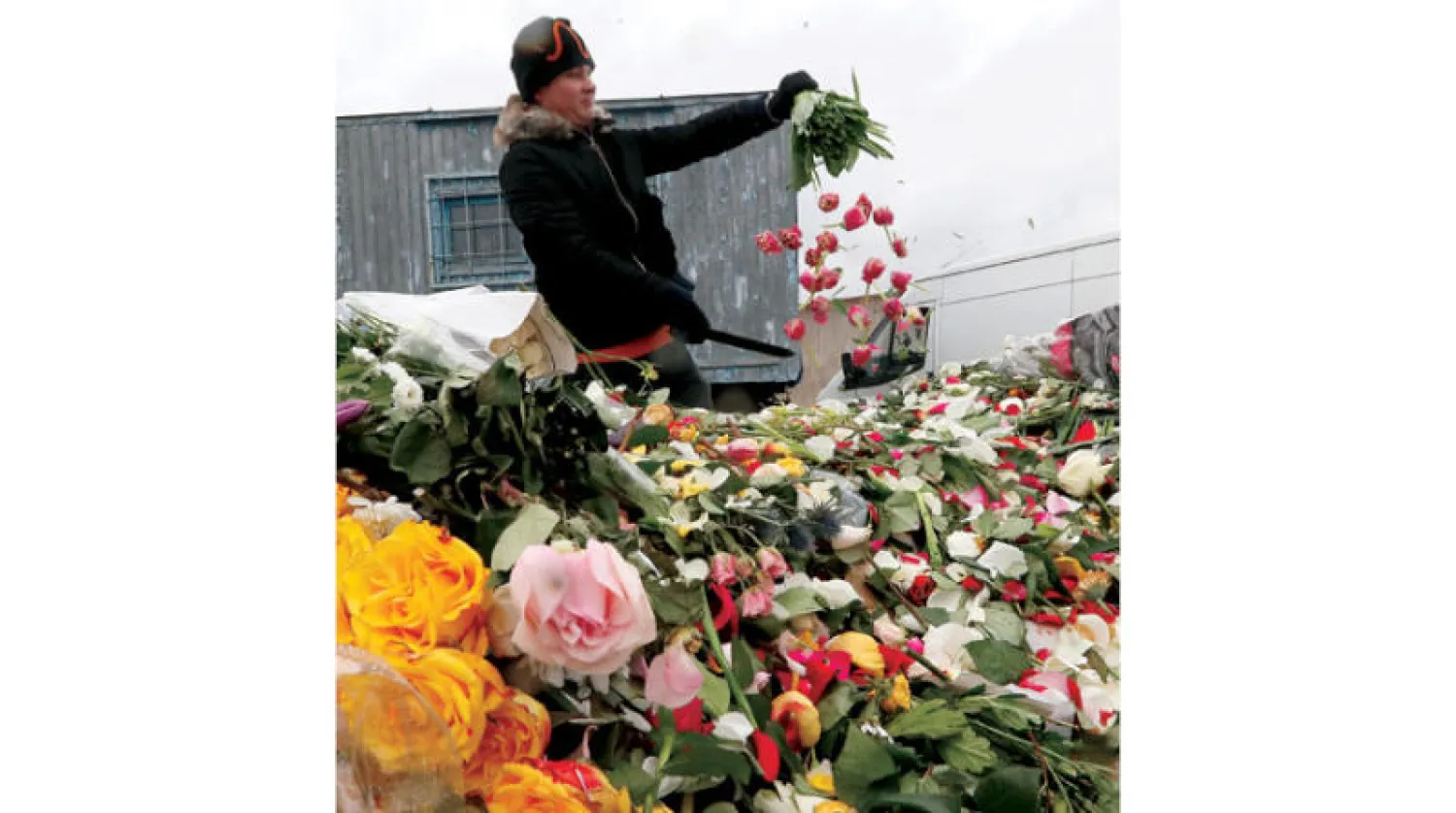 صاحب محل لبيع الزهور في سانت بطرسبرغ بروسيا  يلقي بباقات في القمامة (إ.ب.أ)