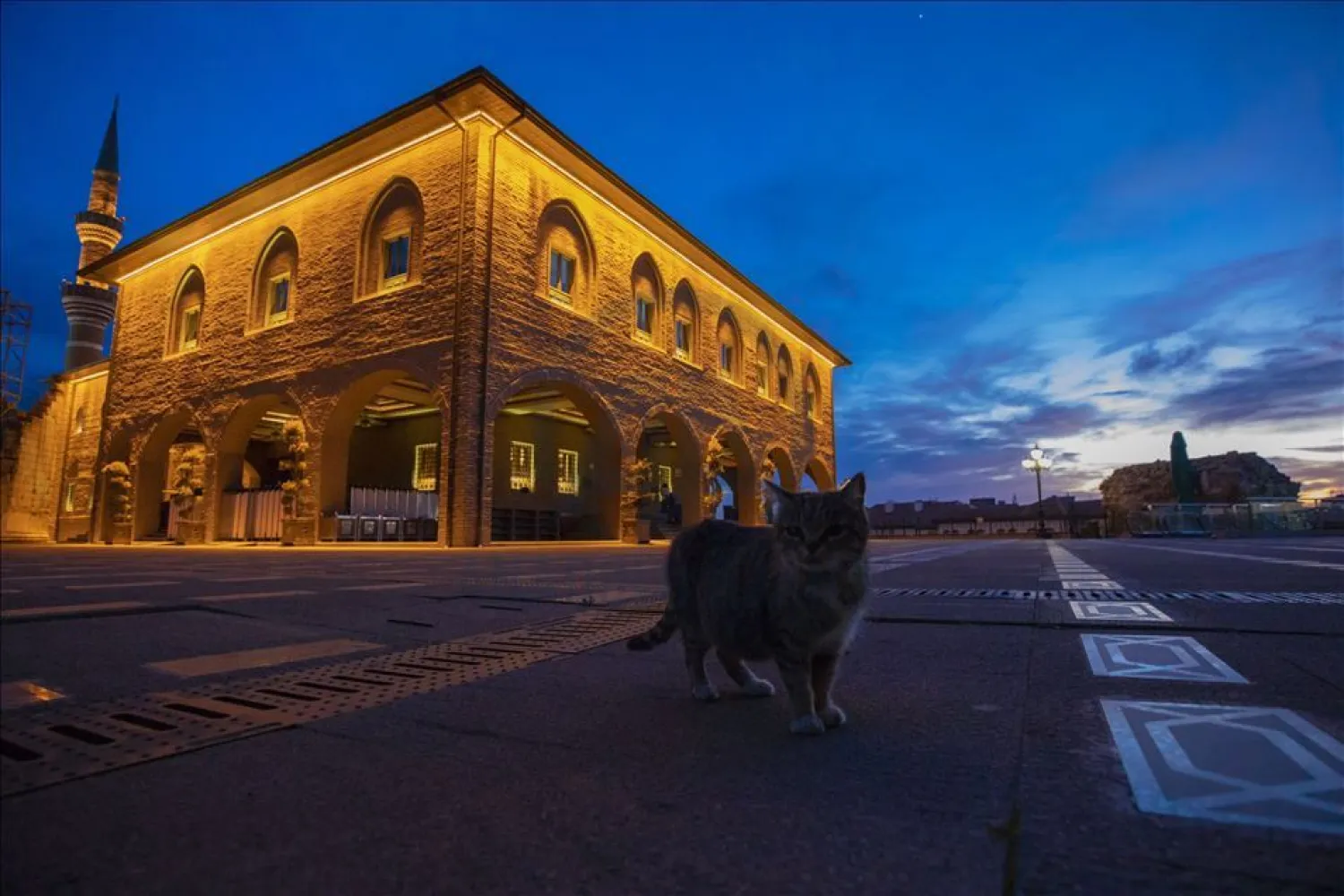 A stray cat stands in front of a closed mosque in Turkey. (Getty Images)