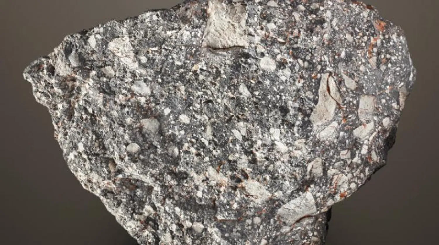 Dünyadaki en büyük 5. ay taşı Sahra Çölü'nde bulunduktan sonra birden fazla kez el değiştirmişti (Reuters)