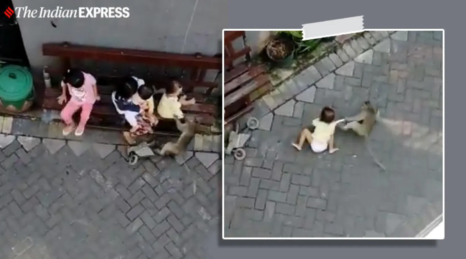 لقطات تظهر القرد أثناء قيامه بجر الطفلة في الطريق بإندونيسيا (إنديان إكسبرس)
