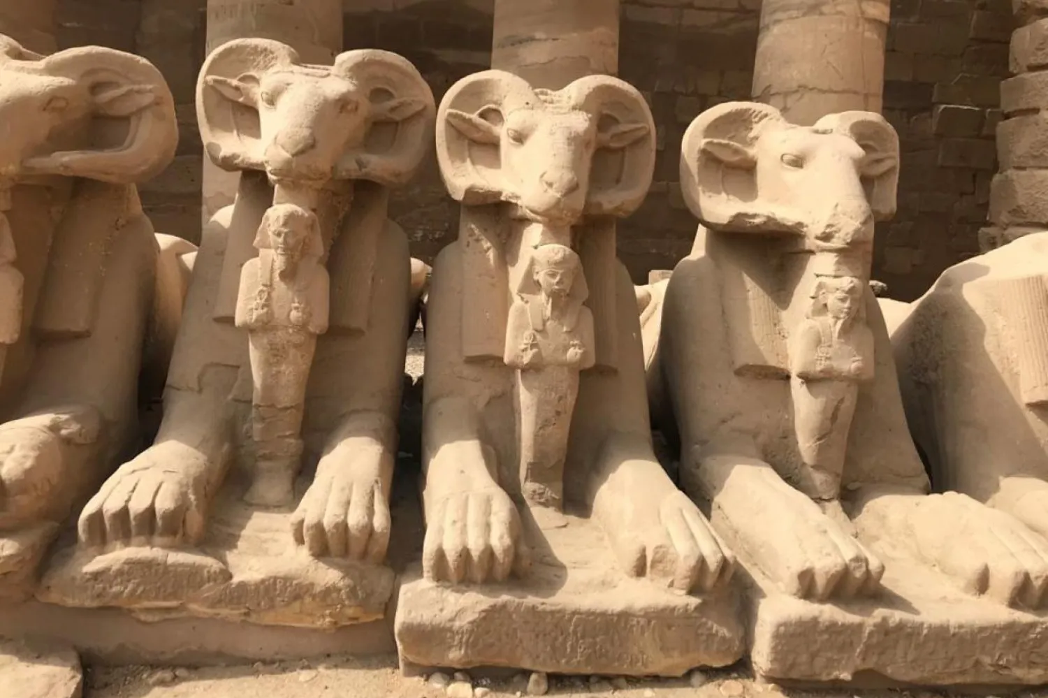 Mısır’ın güneyindeki yer alan Luksor Tapınağı’ndaki koç heykeli (Independent Arabia)