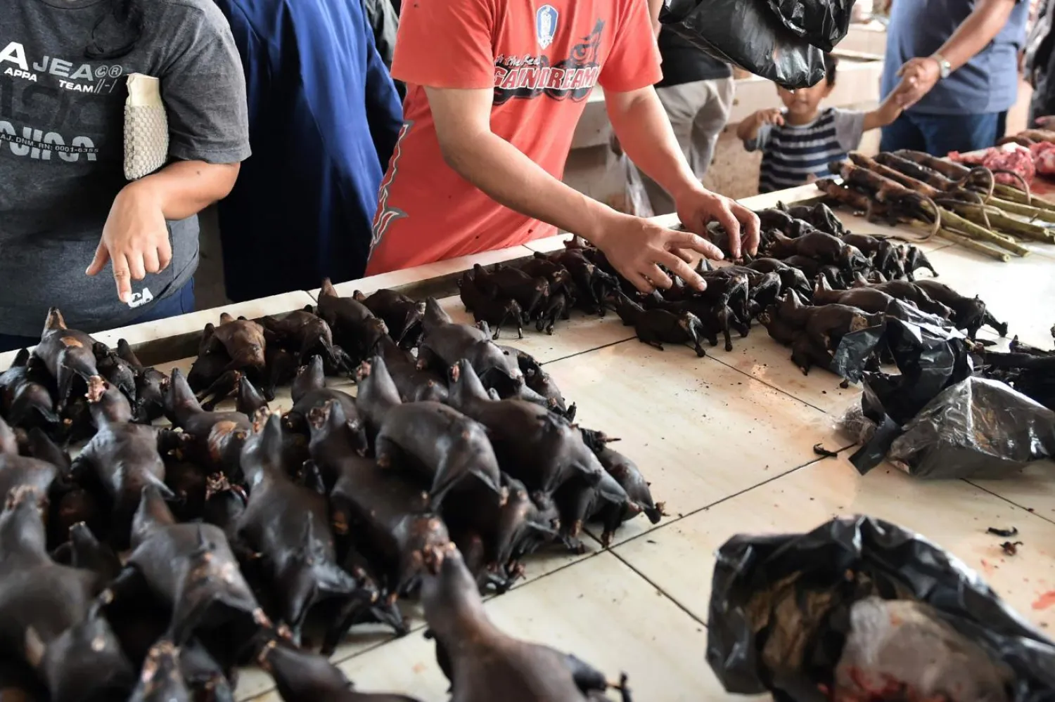 Tomohon bölgesinde çok sayıda farklı et çeşidinin sunulması, bir yemeği “kaliteli” kılıyor (AFP)

