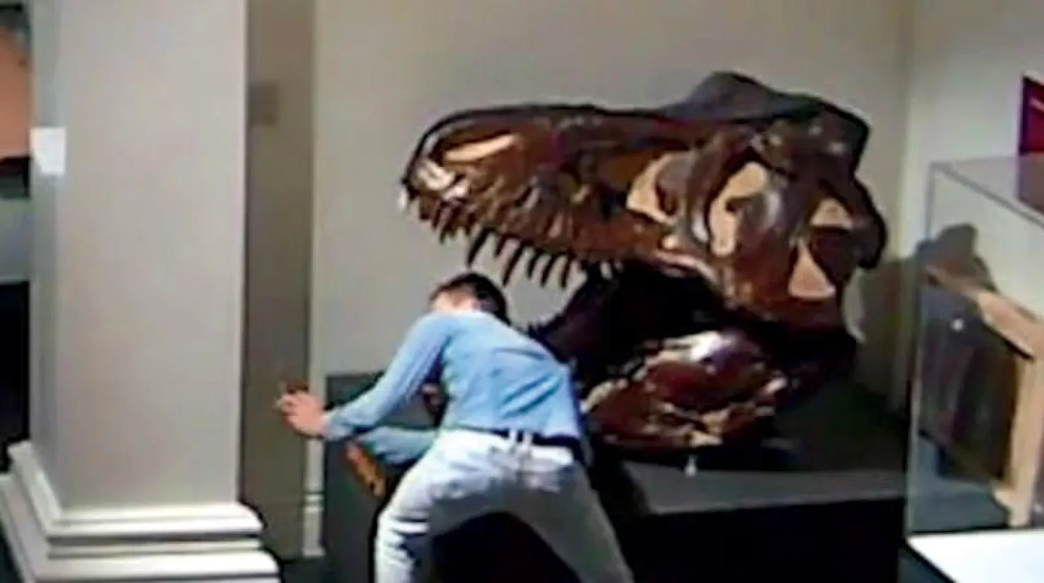 رجل غامض يلتقط صورة سيلفي مع جمجمة ديناصور في «المتحف الأسترالي»