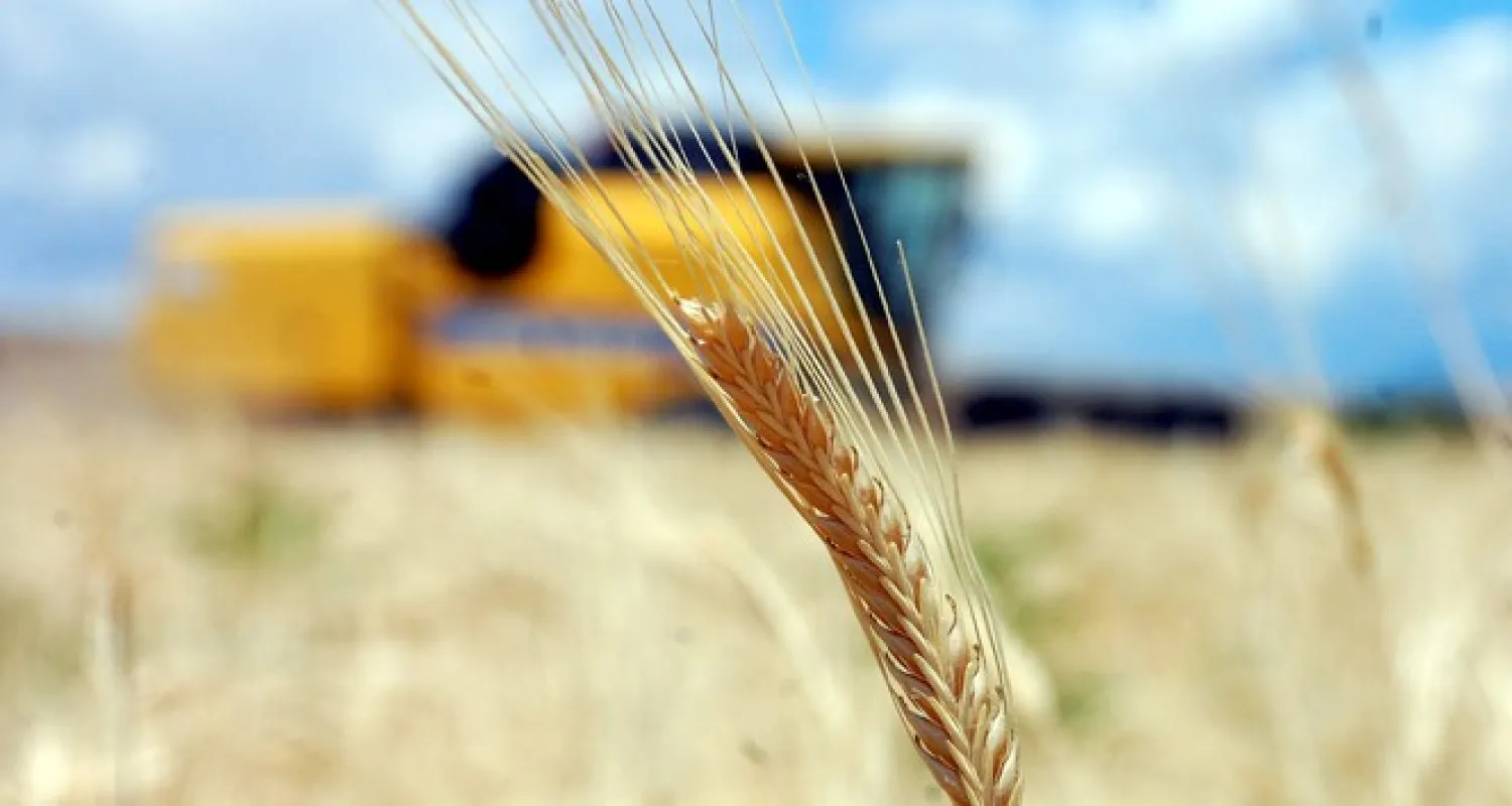 Tarımsal girdi fiyat endeksi Mart’ta arttı