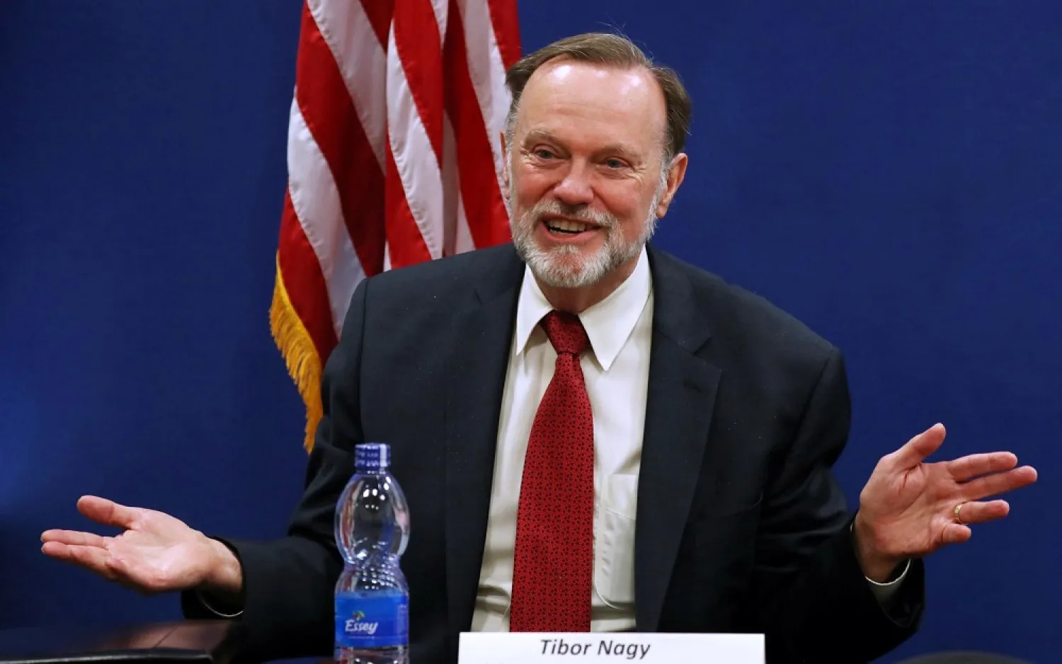 Tibor Nagy, the US Assistant Secretary of State for Africa, speaks during a news conference on the case of Sudan in the US Embassy in Addis Ababa, Ethiopia June 14, 2019. (Reuters)