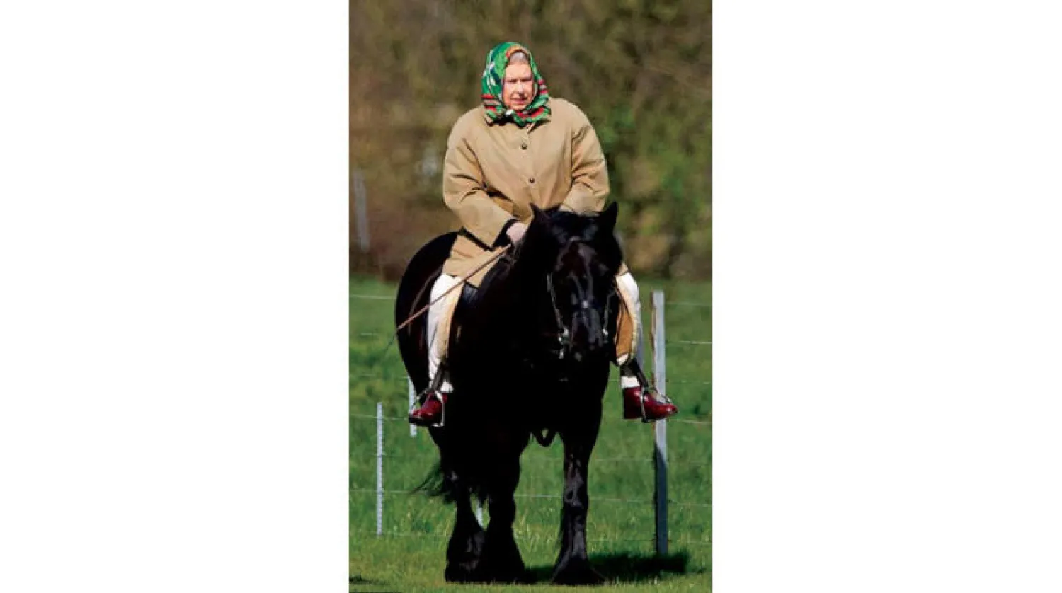 الملكة اليزابيث على حصانها الأسود المفضل