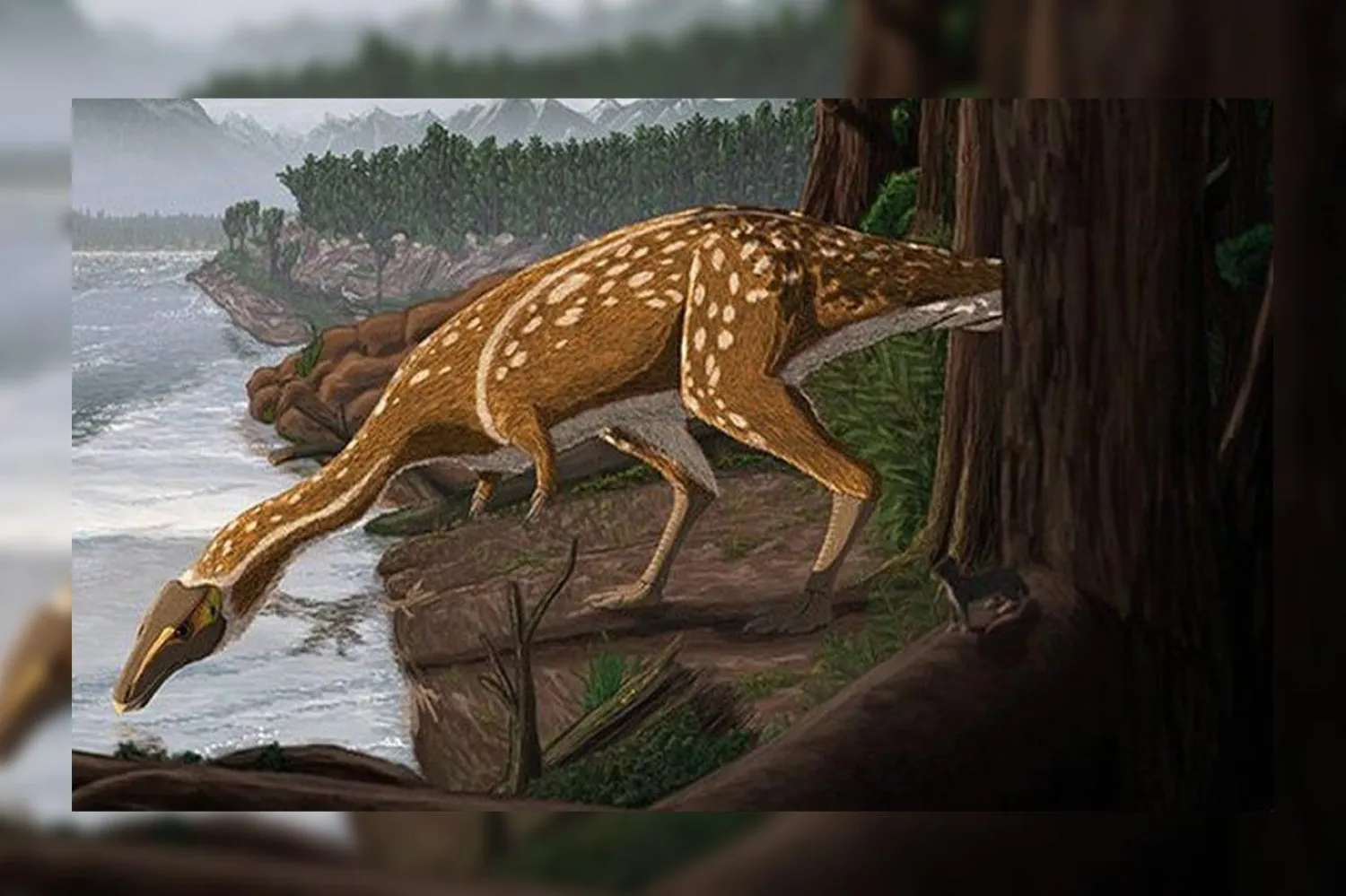 Türün başka alanlarda tespit edilen üyelerinin boylarının daha uzun olabildiği aktarıldı (RUAIRIDH DUNCAN)

