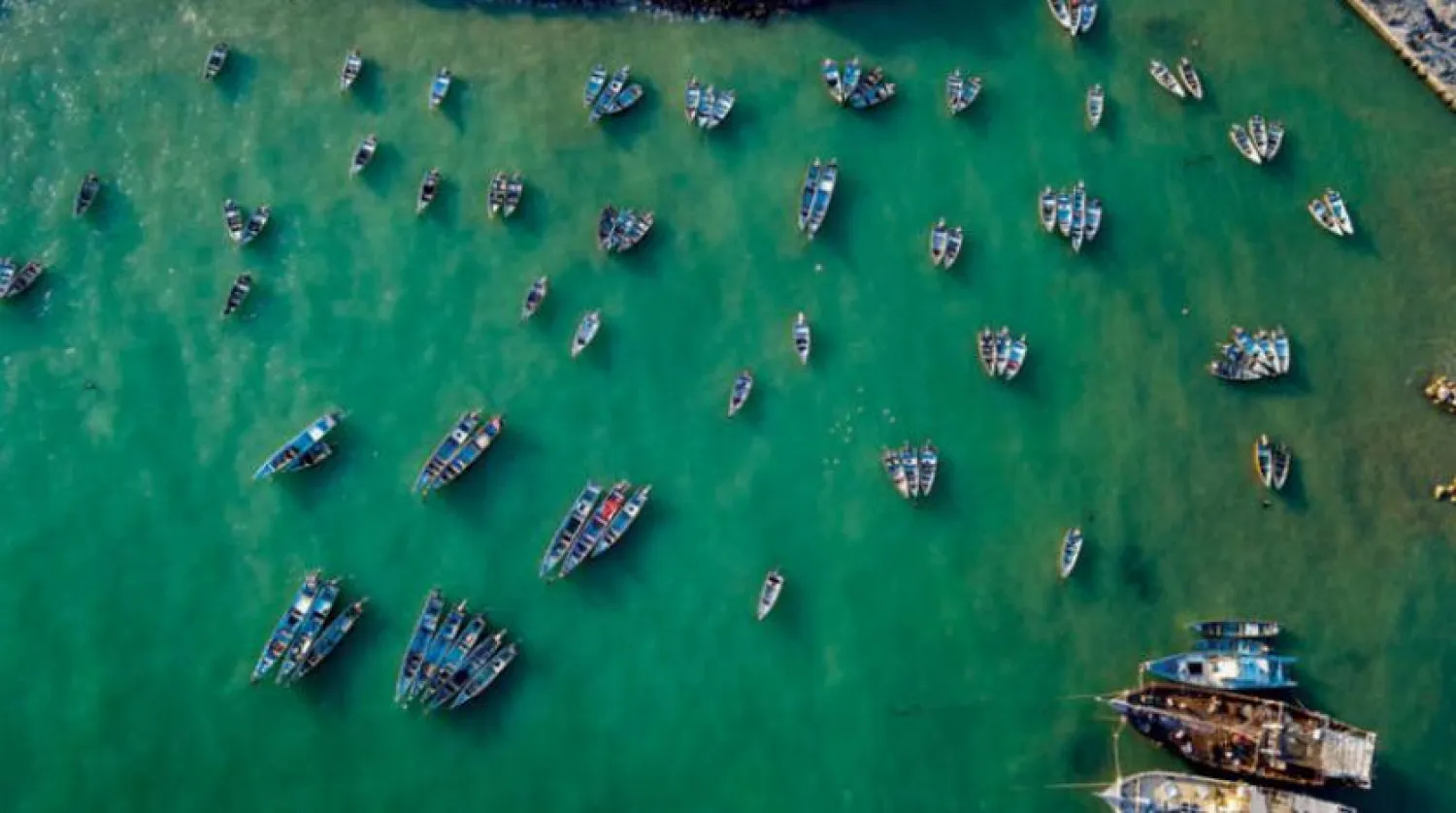 Beneficiaries of the fishing boats project in South Yemen, Asharq Al-Awsat 
